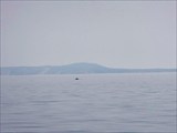 Охотское Море 48